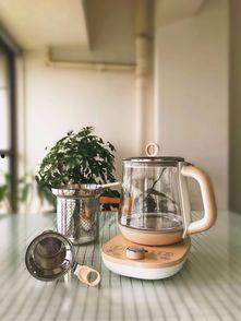 国产养生壶测评知乎视频,揭秘热门品牌性能与优缺点