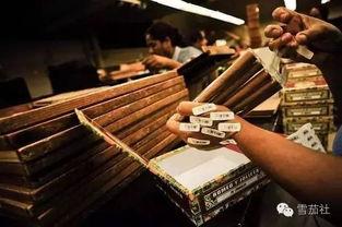品尝国产雪茄视频,探寻东方烟草艺术的魅力