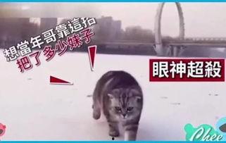 国产热门搞笑视频大全,欢乐无限